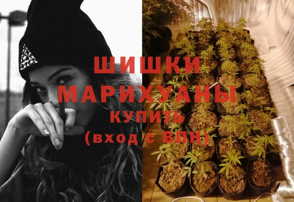 гидропоника Балахна
