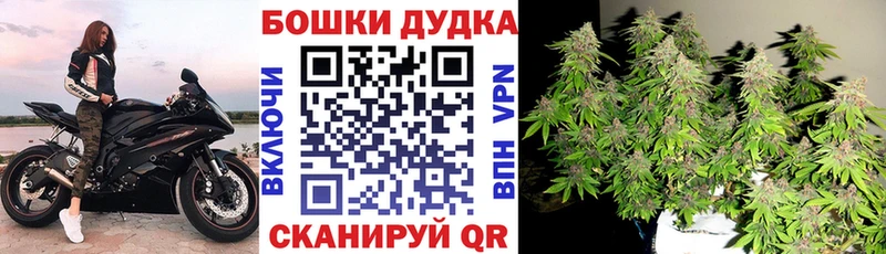 Шишки марихуана семена Ливны